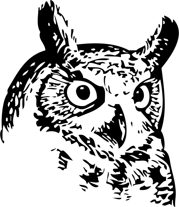 Black owl head.
