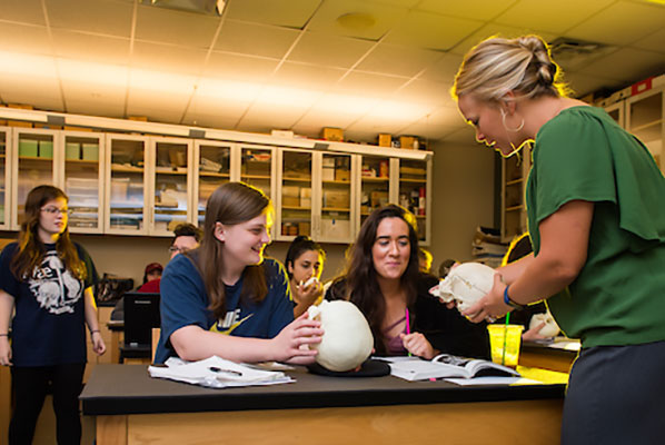 students in anthropology class