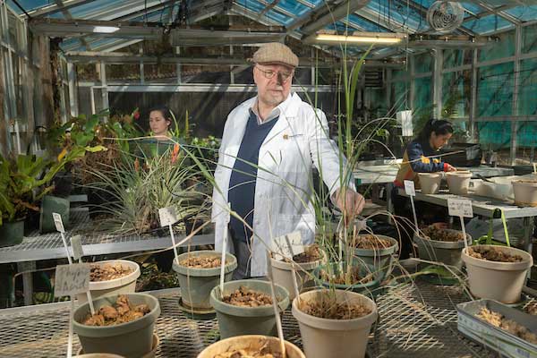 biology professor in green house