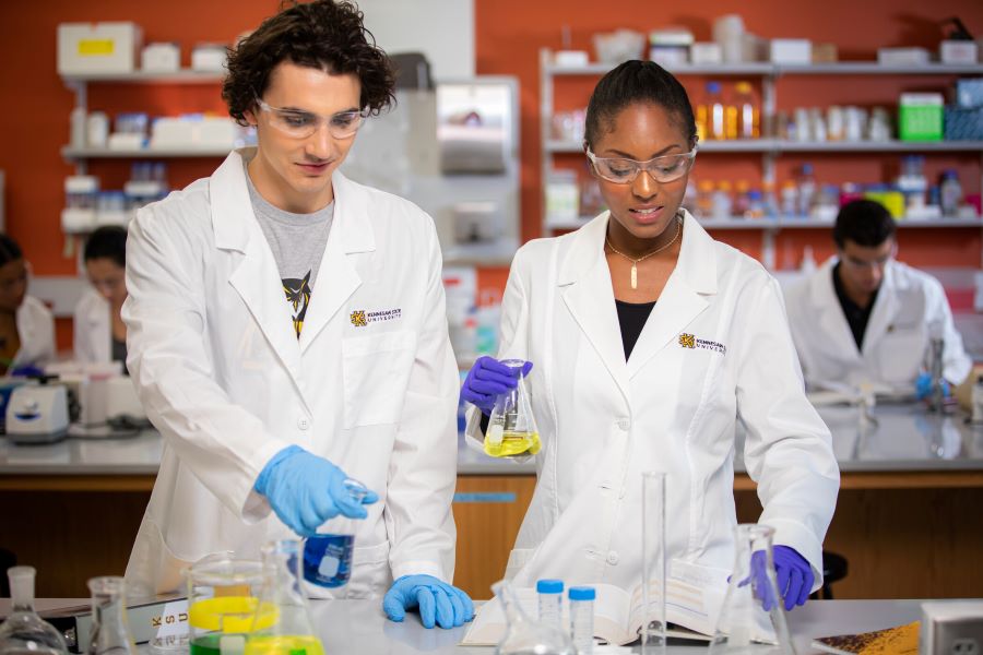 Two students in lab coats collaborate on a project, showcasing teamwork in a science lab at KSU.