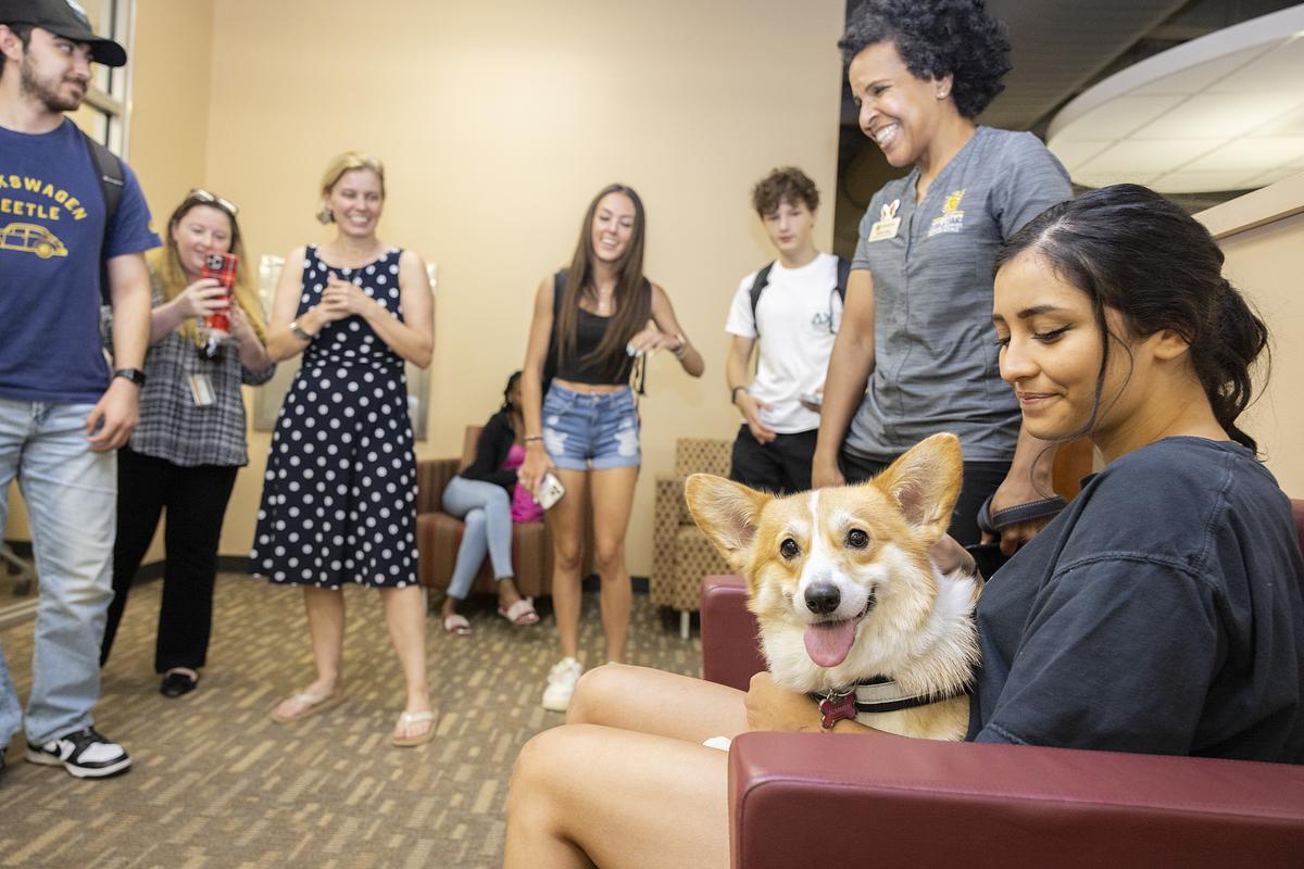 woman holding corgi with six people standing around