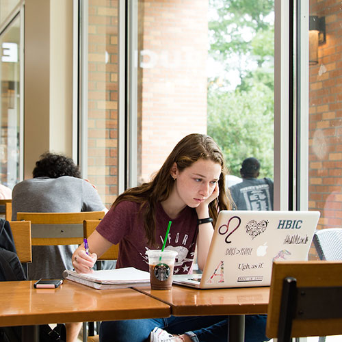 Highschool student taking notes on laptop