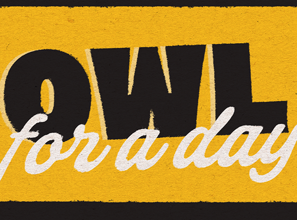 Yellow textured background with the words "Owl for a Day" written on it.