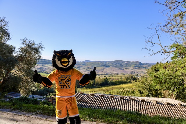 Scrappy in Montepulciano