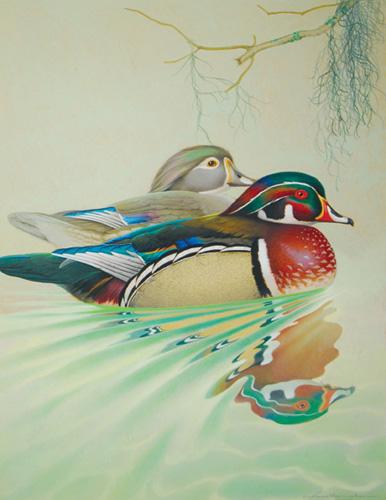  / Athos Menaboni, Wood Duck, c. 1944. Oil on illustration board; 24 1/2 x 20 in. (62 x 50.8 cm). Gift of D. Russell Clayton, 2007.1.4.