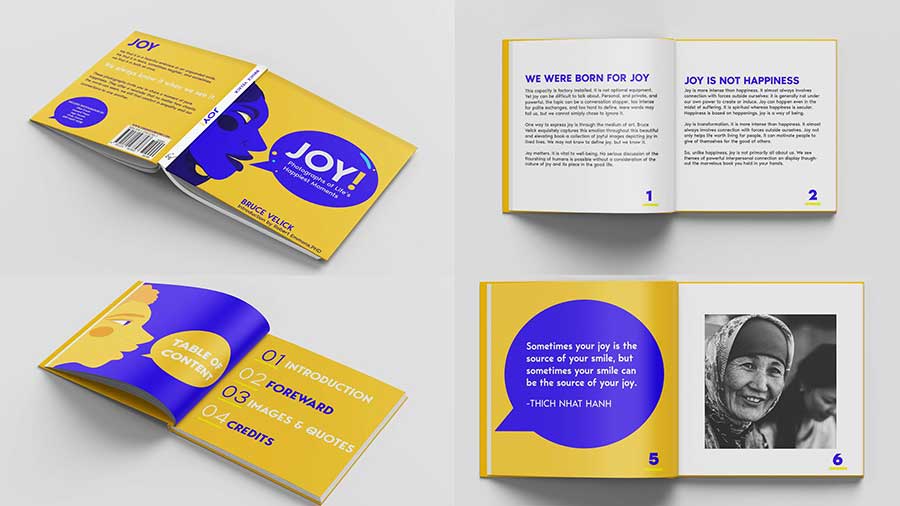 / "Joy!,” Book jacket and spread redesign,11 x 17 inches, 2021. Pairing minimal yet purposeful typography choices and intriguing photography to complete a successful redesign. 