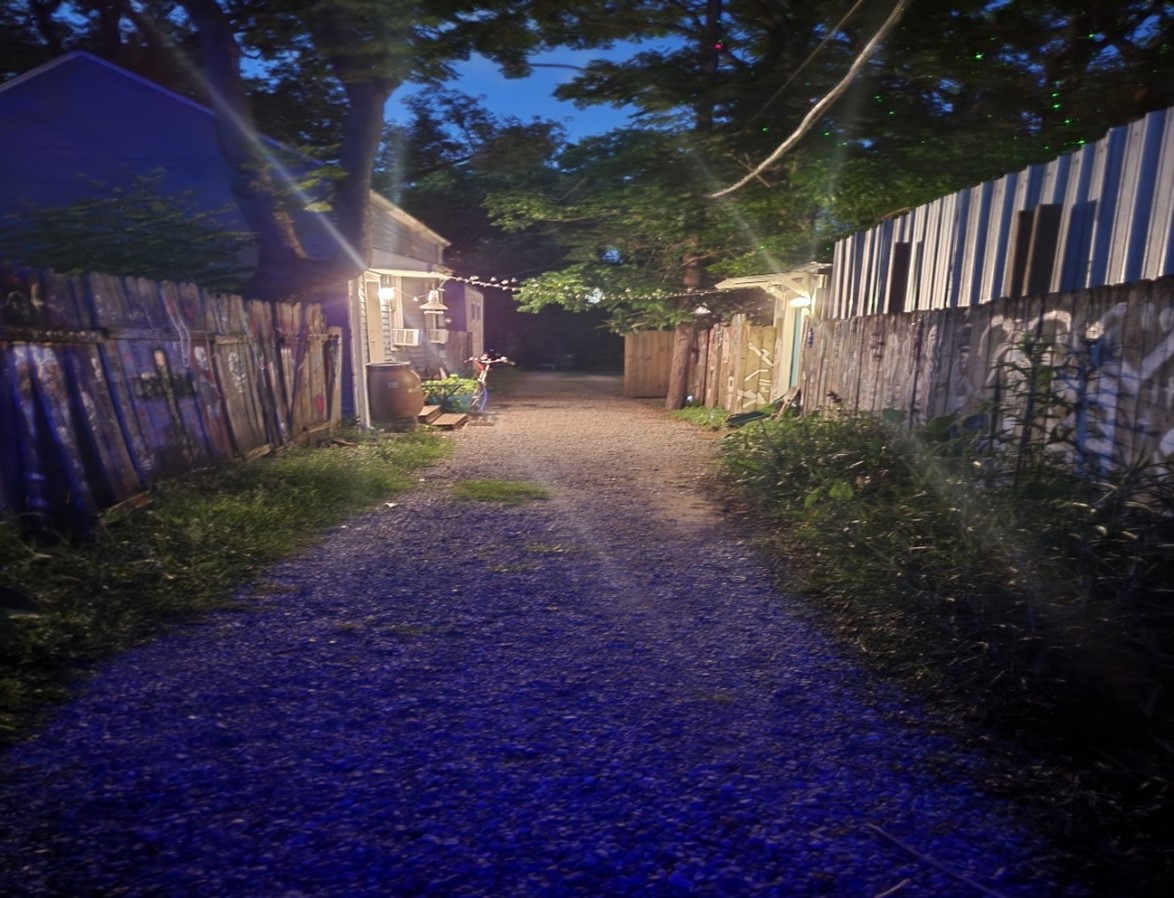 Walkway to Vodou Initiation / Walkway to Vodou Initiation by Manbo Priestess Sallie Ann Glassman 