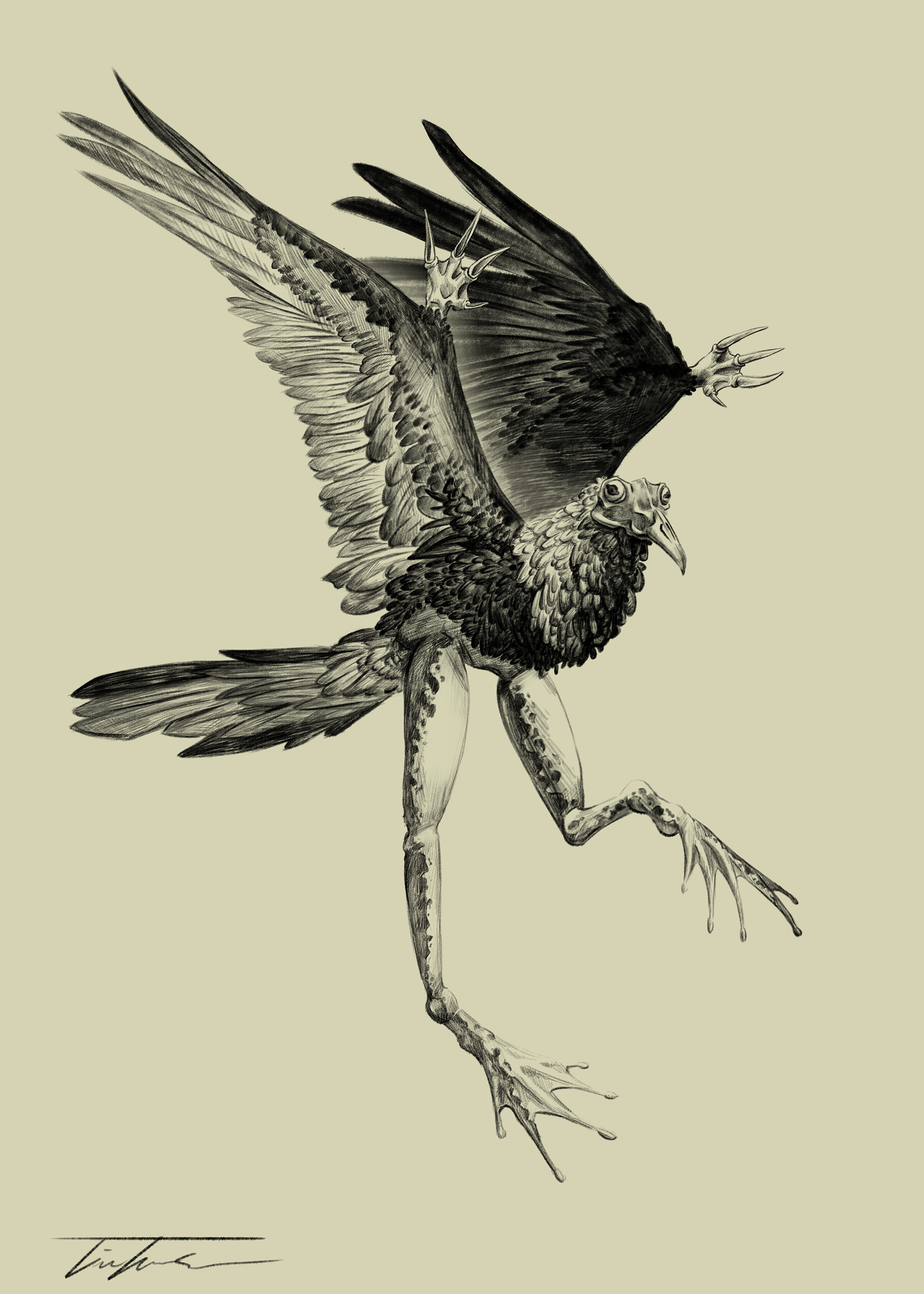  / Pond Hopper Scientific Drawing, Creature Design Prompt for Concept 1 Class. Created in Photoshop