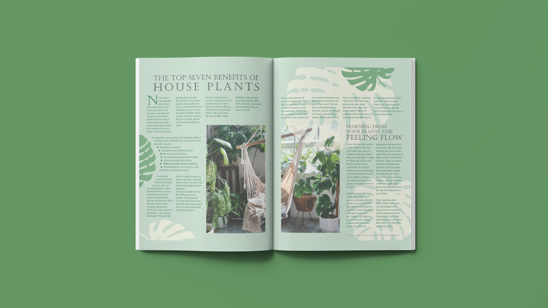 “Houseplant Spread”  / “Houseplant Spread,” magazine spread design, 8.5 by 11 inches, 2021. This spread details the benefits of keeping plants in the home.