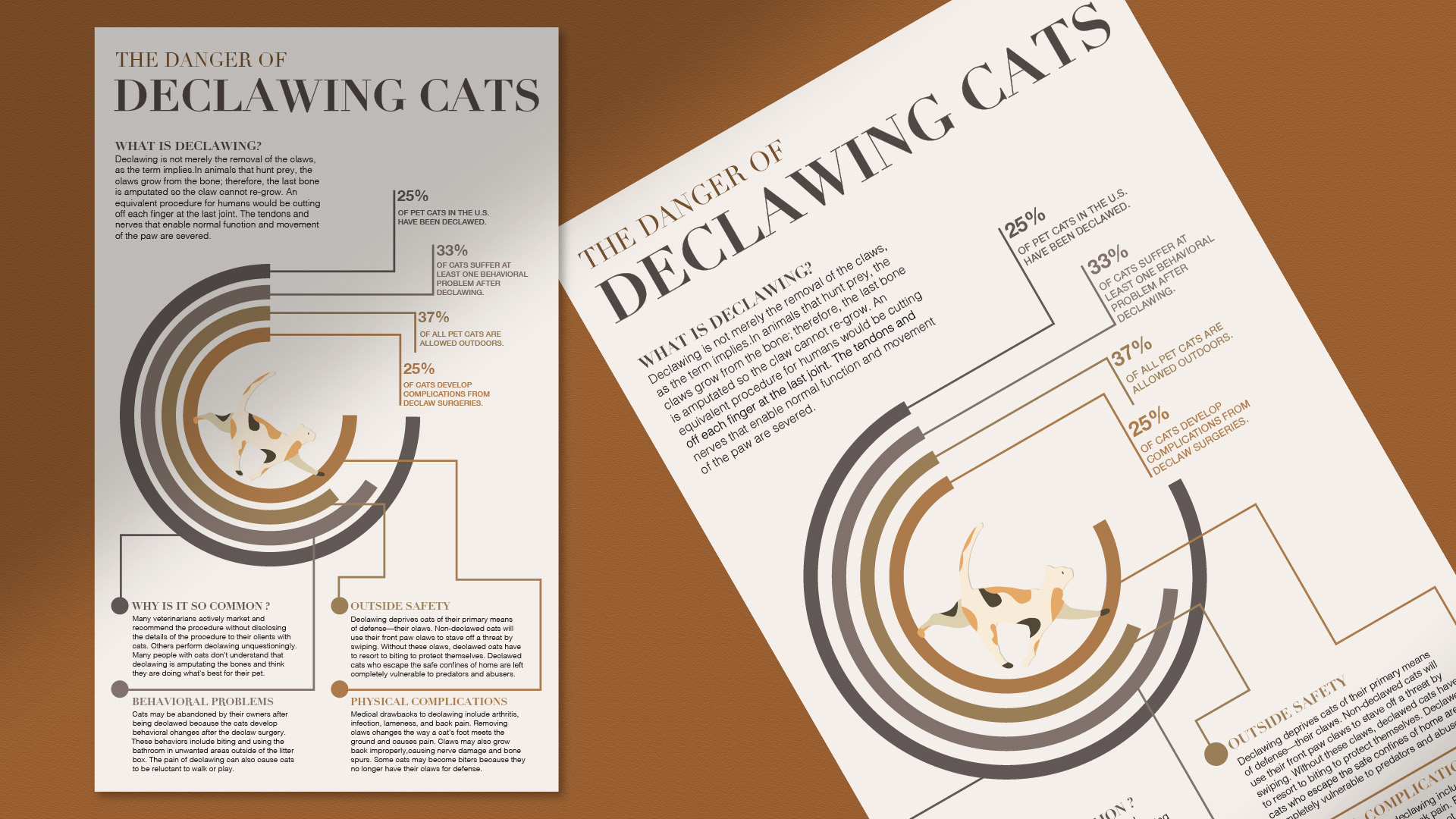 The Danger of Declawing Cats / "The Danger of Declawing Cats," infographic poster, 8.5" x 14", 2022. This poster explains how declawing is harmful to cats. 