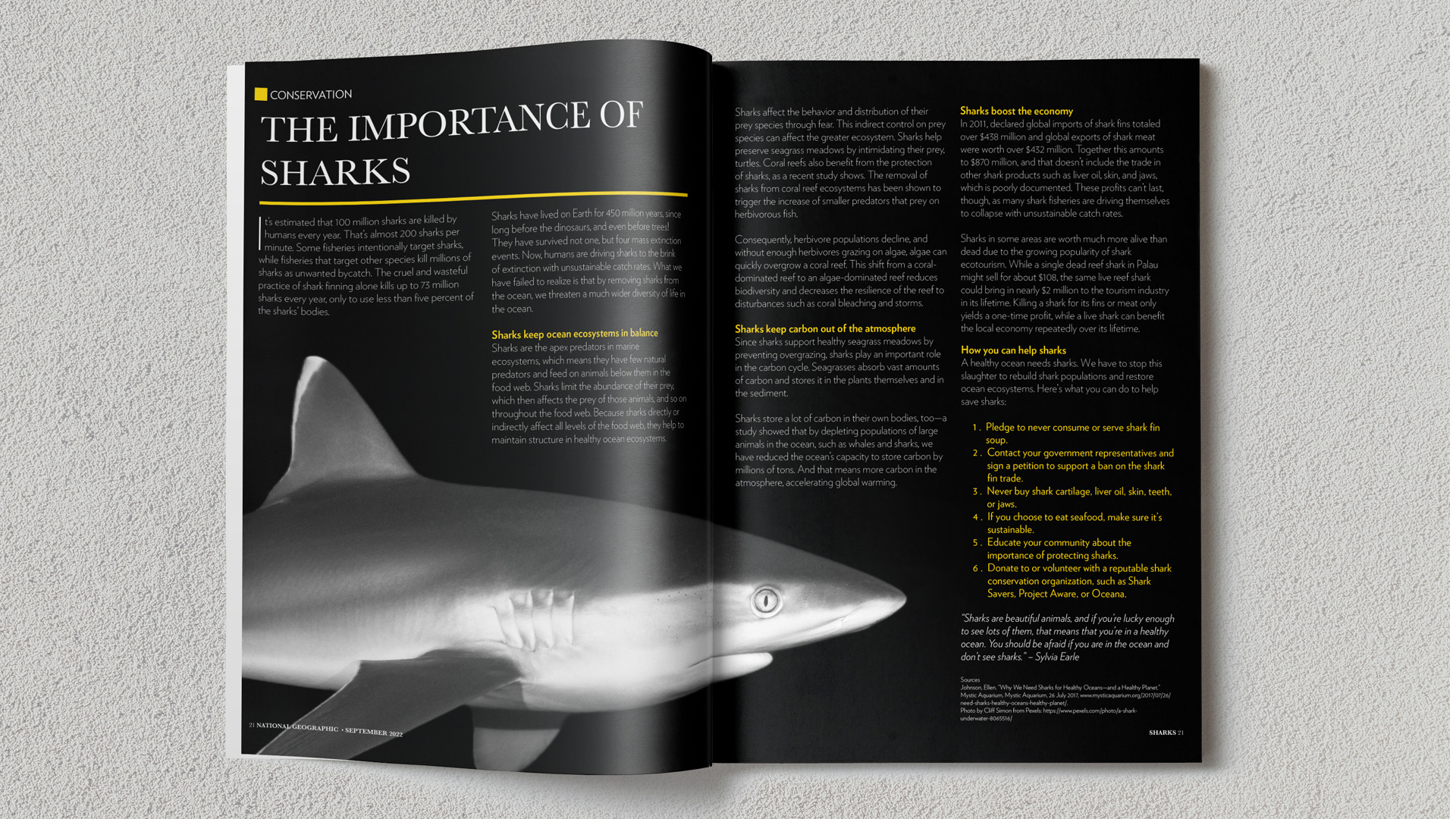 "National Geographic Magazine Spread,"  / "National Geographic Magazine Spread," printed spread, 6.5 x 9 inch printed, 2022. A magazine spread for the importance of sharks that imitates the style of National Geographic. 