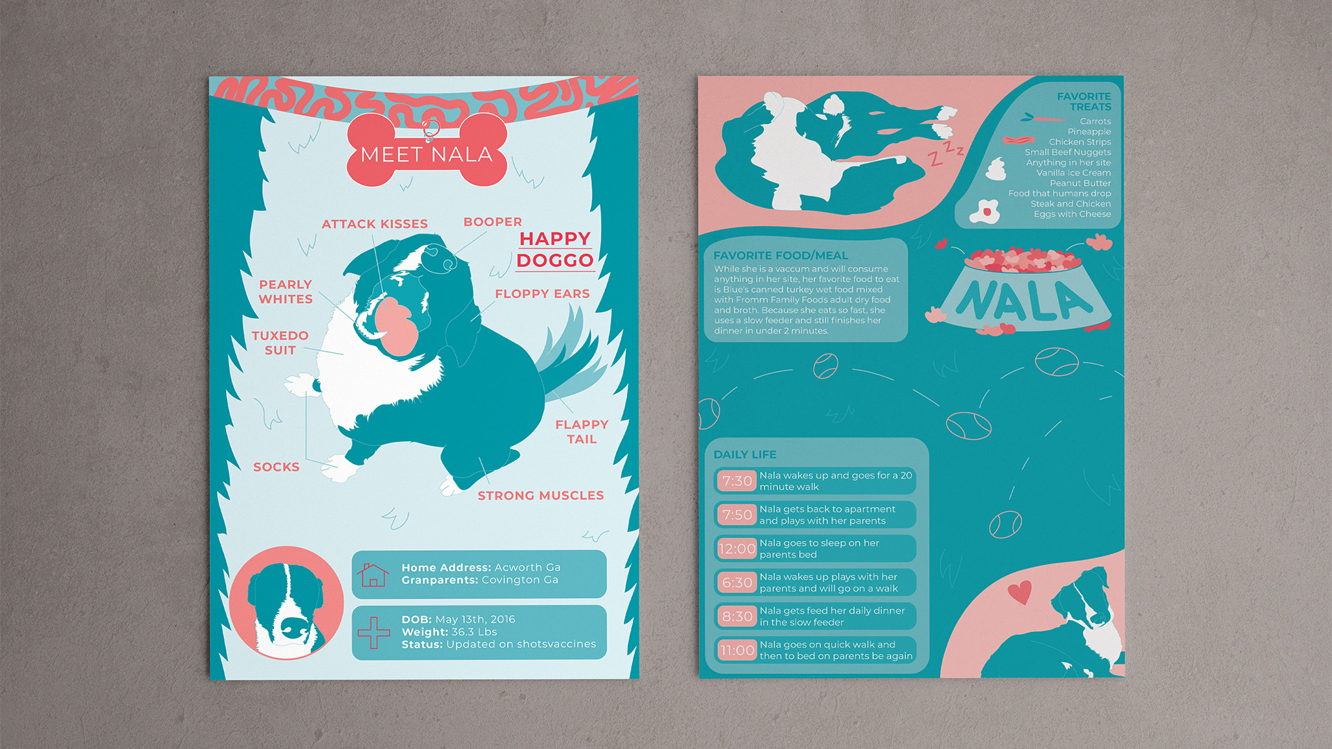 "Nala Care Infographic," / "Nala Care Infographic," poster, 11 x 17 inch printed, 2022. This is a two-color poster that depicts information for the care of Nala.