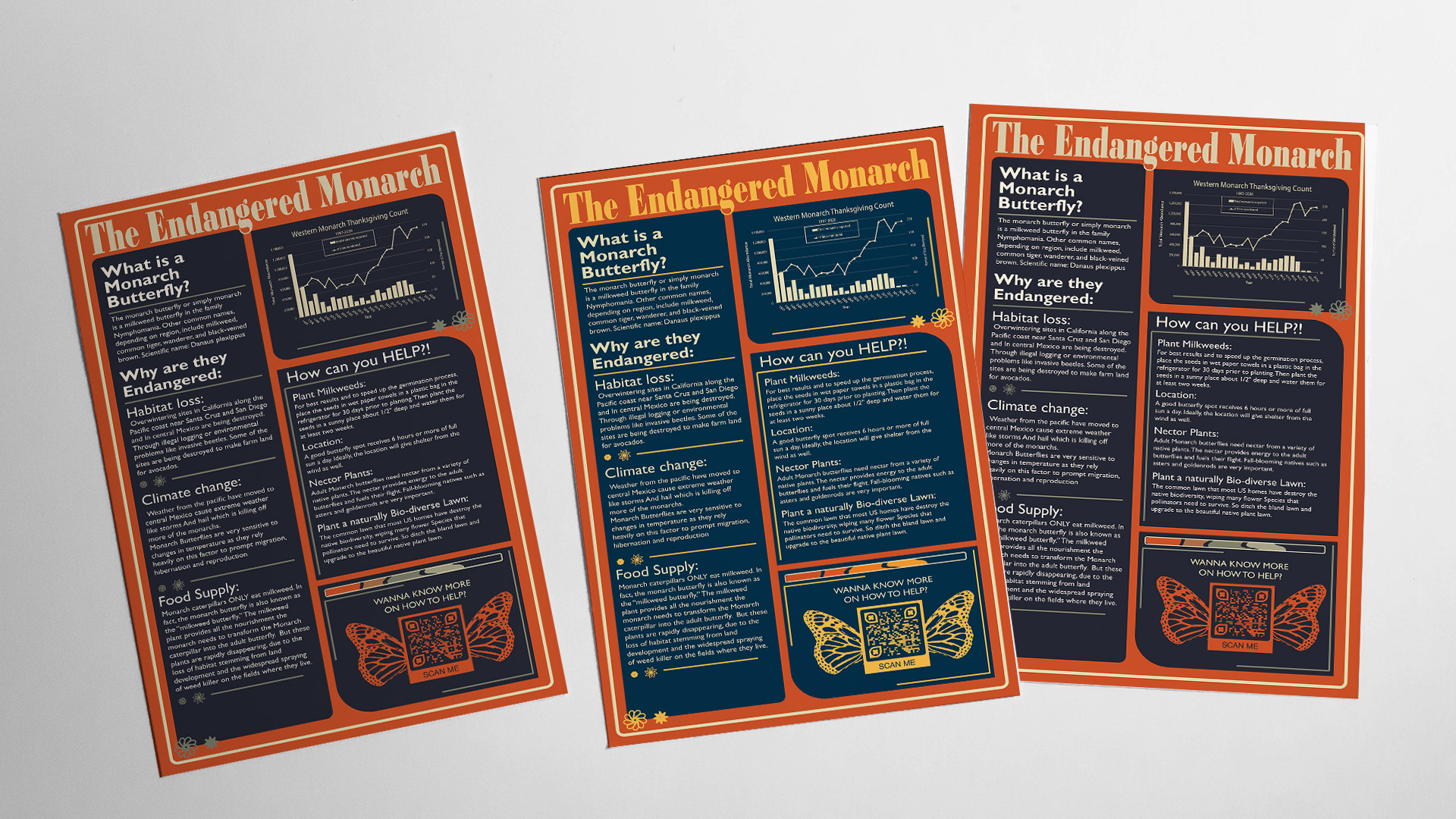 Monarch Butterfly infographic / Monarch Butterfly infographic:8.5 x 14 inches, Infographic design 2022, Infographic design about the monarch butterflies and their endangerment in a unique way. 