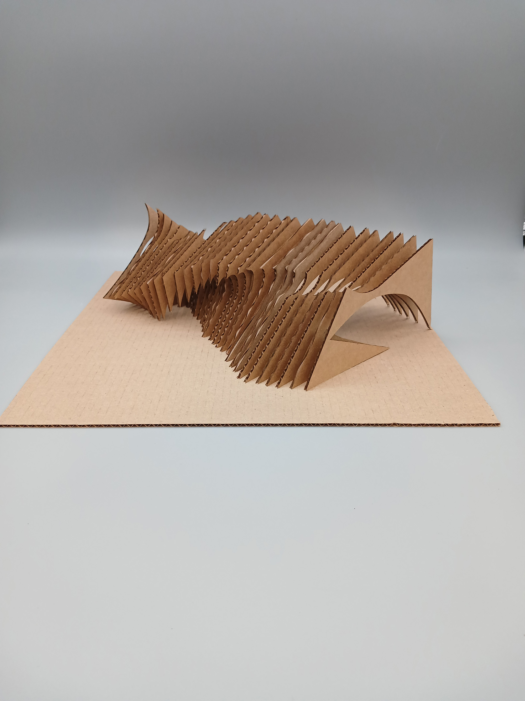 Kenya Small / Kenya Small - Serial Planes - Cardboard - used laser cutter. 7"x15"x8" completed 2023. Top View