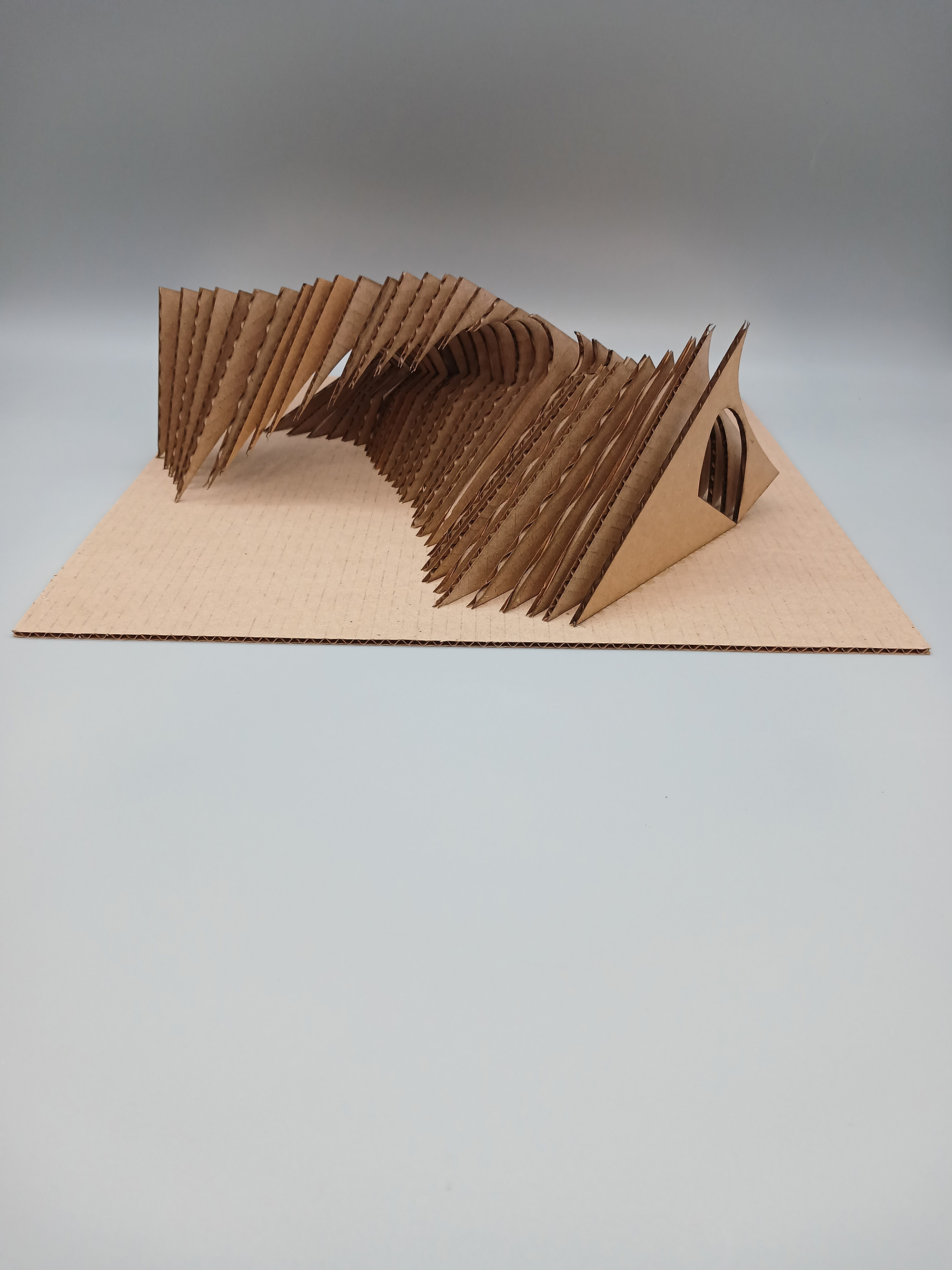 Kenya Small / Kenya Small - Serial Planes- Cardboard - Completed 2023- Side View
