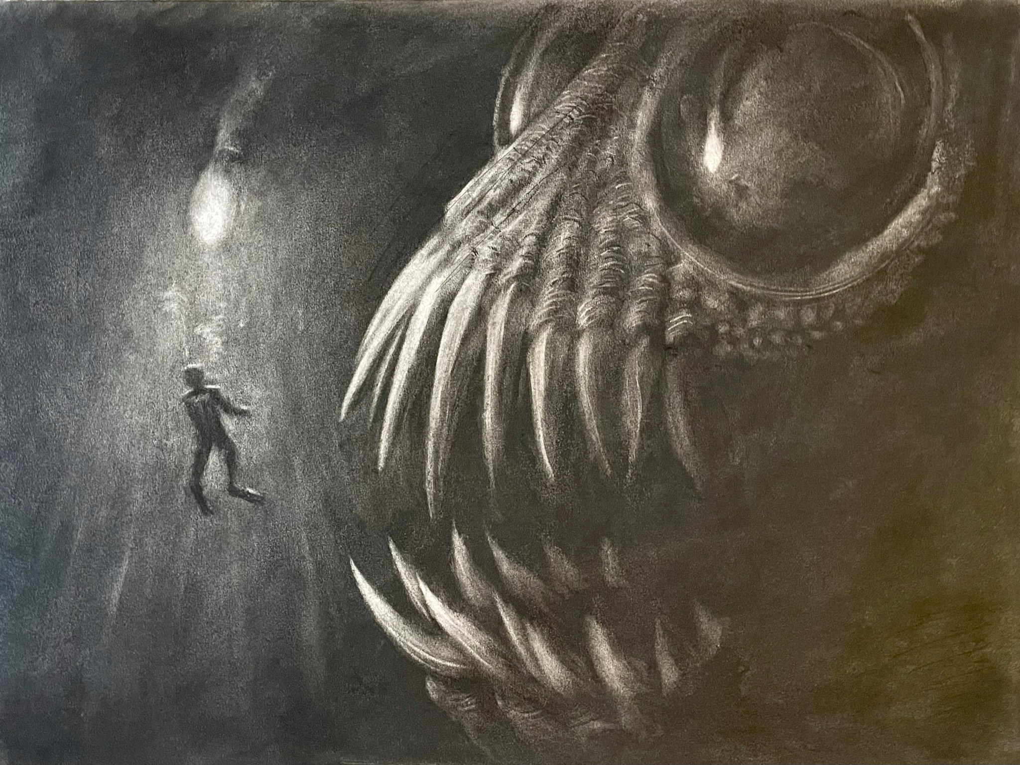 Ellis Hamburger / Ellis Hamburger - Erased Charcoal Drawing - 18x24 2023