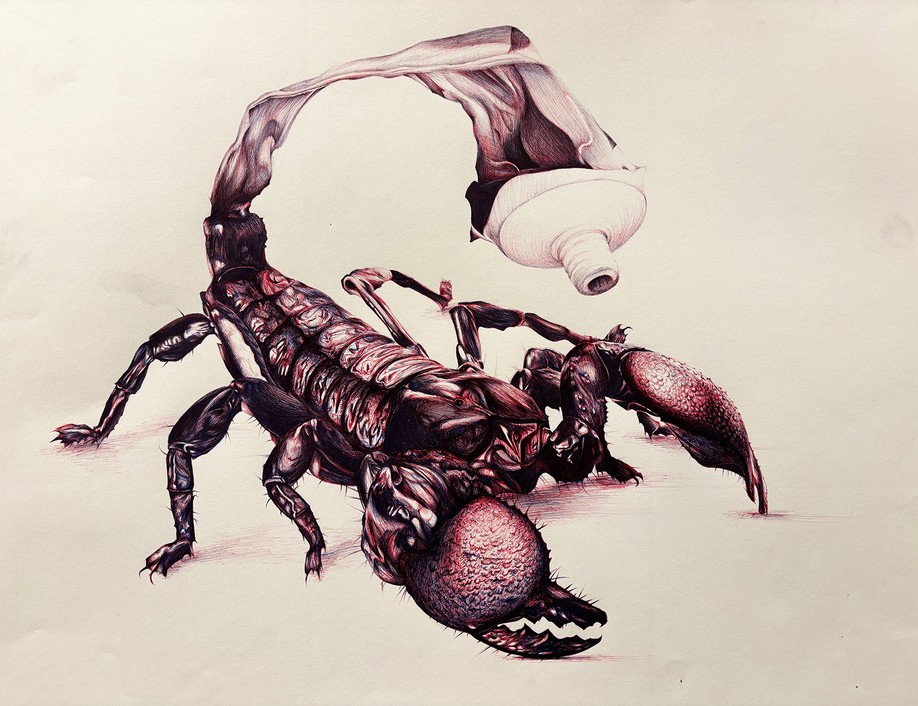 Ethan Owen / Ethan Owen, Scorpion Paste, 18” x 24”, Ballpoint pen, 2023