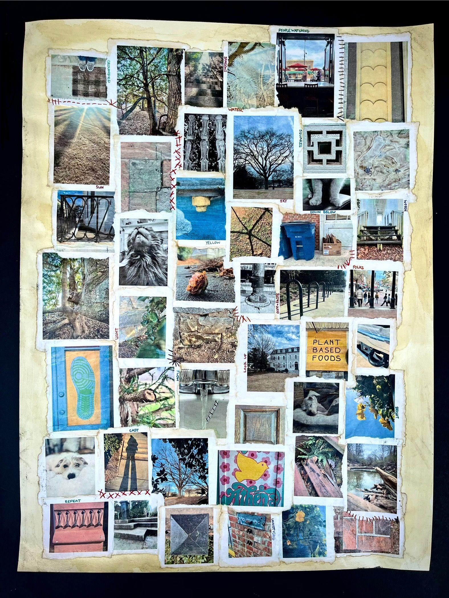 Collage of assorted photos showing trees, buildings, animals, signs, and abstract textures / One of the exercises of my first book on creativity and mindfulness had me being more aware of my surroundings and taking pictures of a theme given in each chapter. This is a collage of my favorite shots taken during these exercises. 