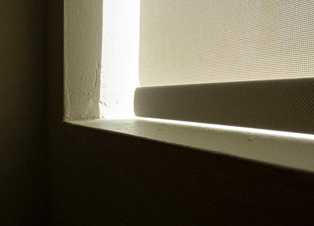 Lisa Schnellinger - Image 1 - Library Window / Lisa Schnellinger - Image 1 - Library Window