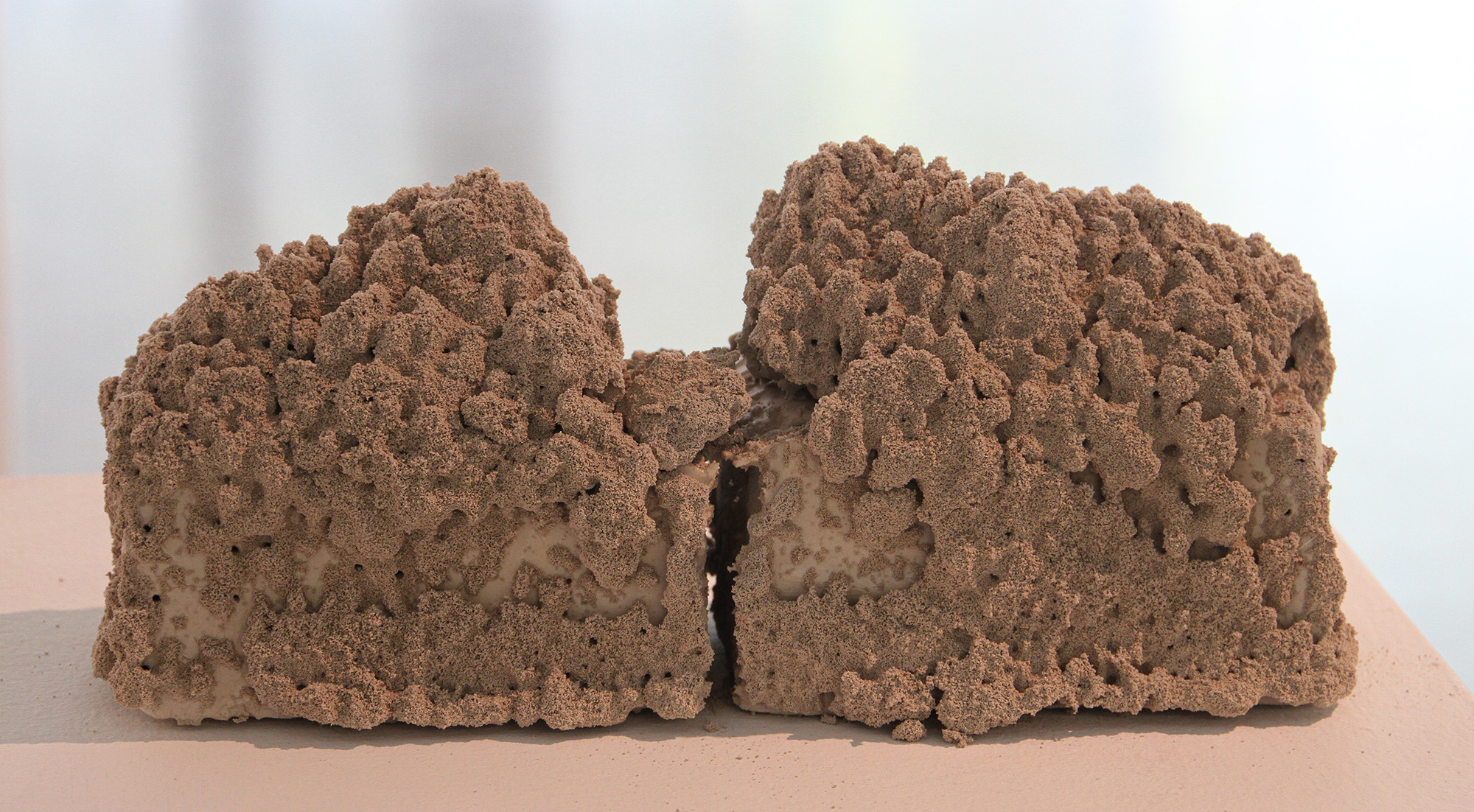 image of ant hill