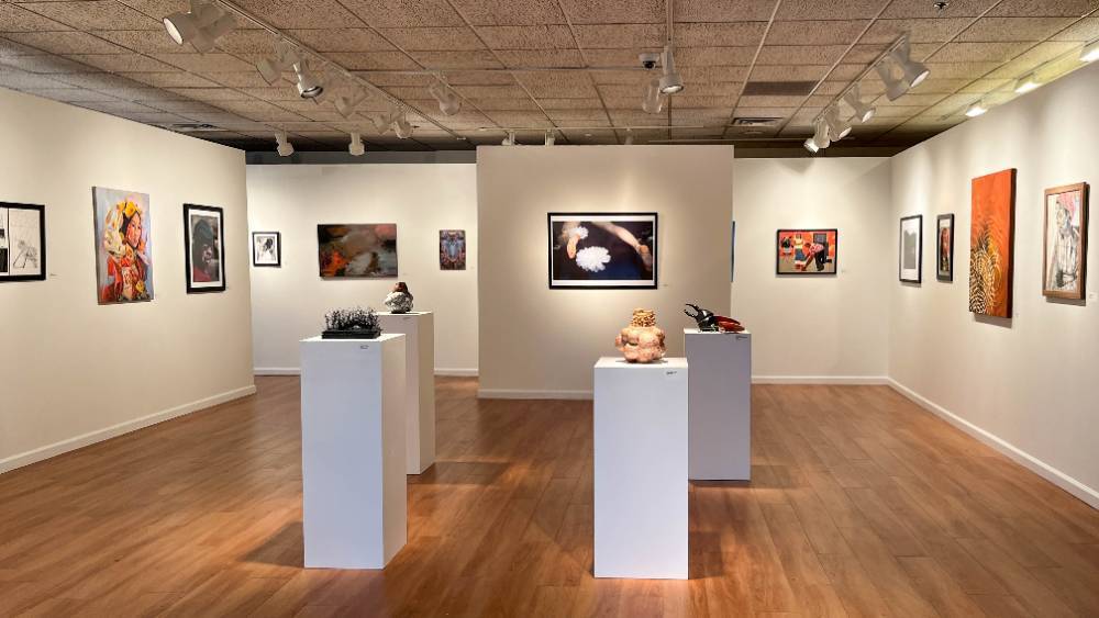 Installation view of new visions 2023