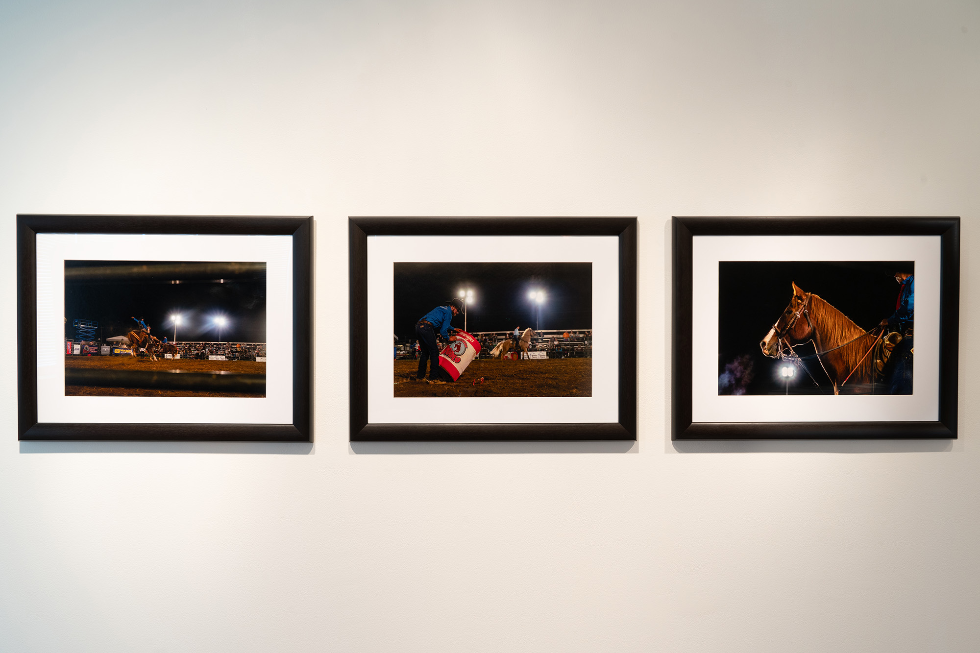 image of horses