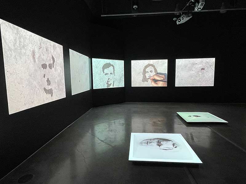 Biographies, 2002 Five-channel video installation with sound Collection of Fundació Sorigué, Spain 