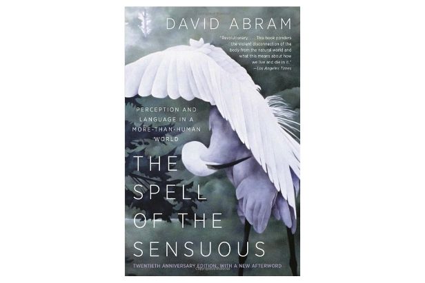 the spell of the sensuous book cover