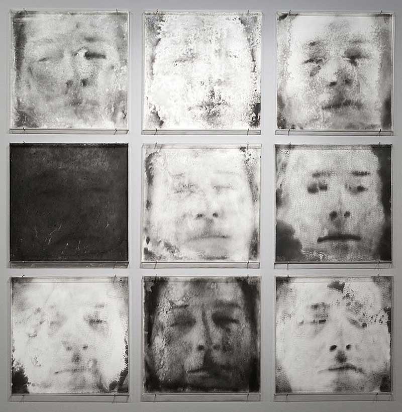 Dry Narcissi, 1999, Charcoal, powder, and paper on water, plexiglass
