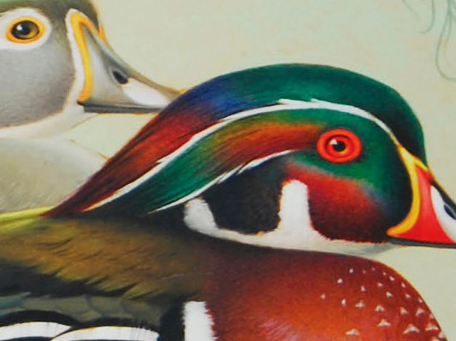 colorful detail image of duck painting by Athos Menaboni