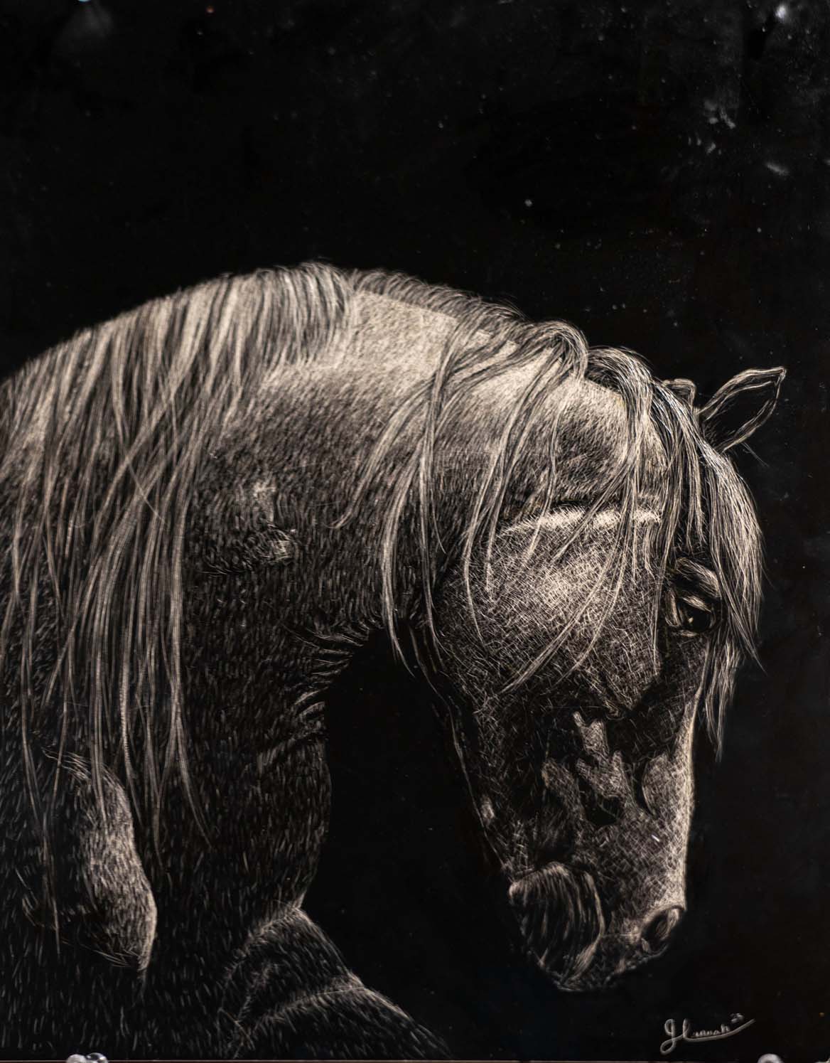 horse scratchboard
