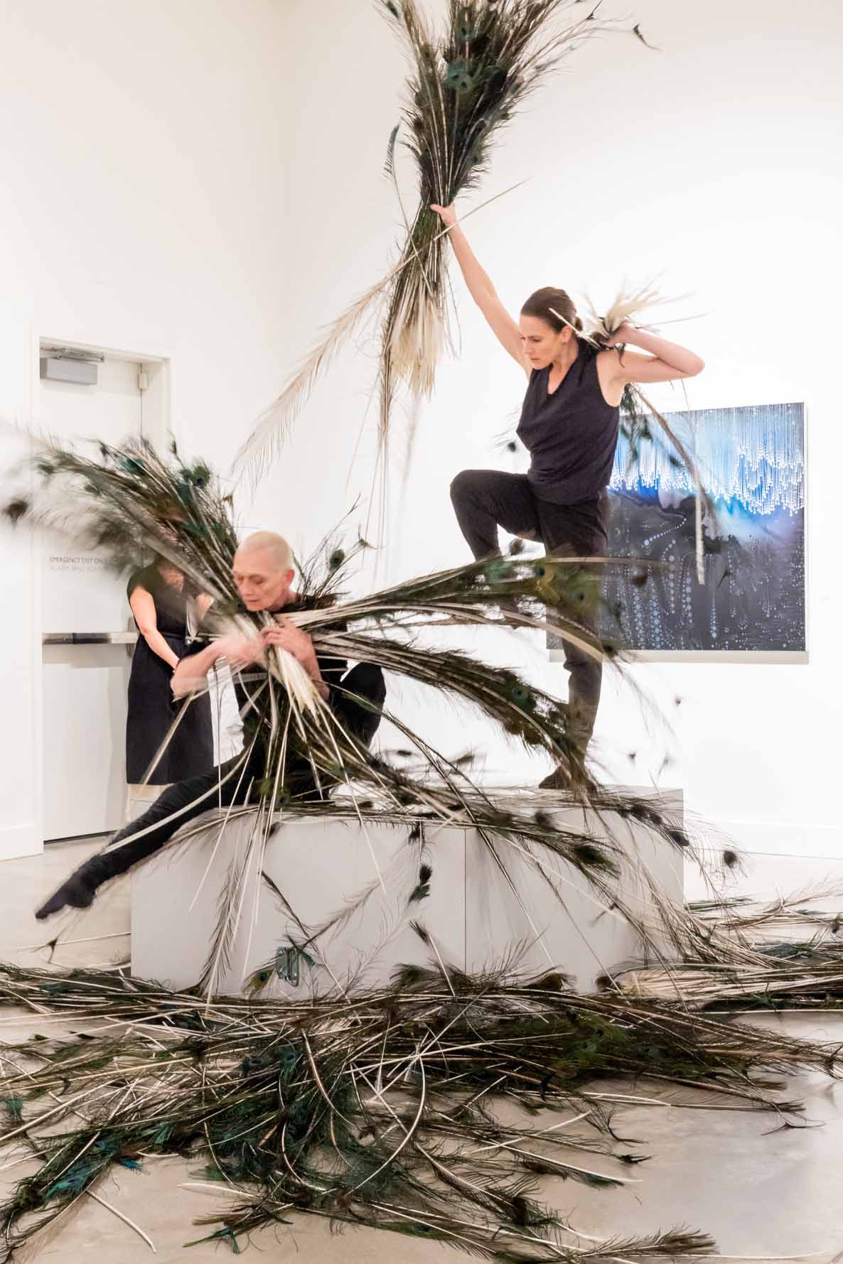 dance professors dancing with peacock feathers in ZMA gallery