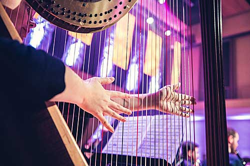  image of woman playing Harpsichord