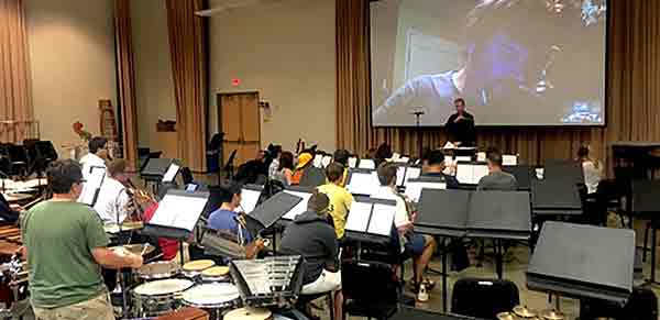 orchestra on video call 
