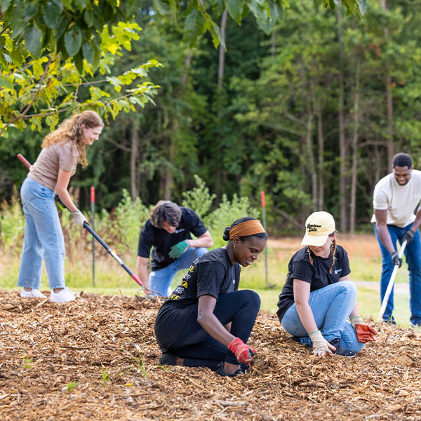ksu workers planting flowers and trees