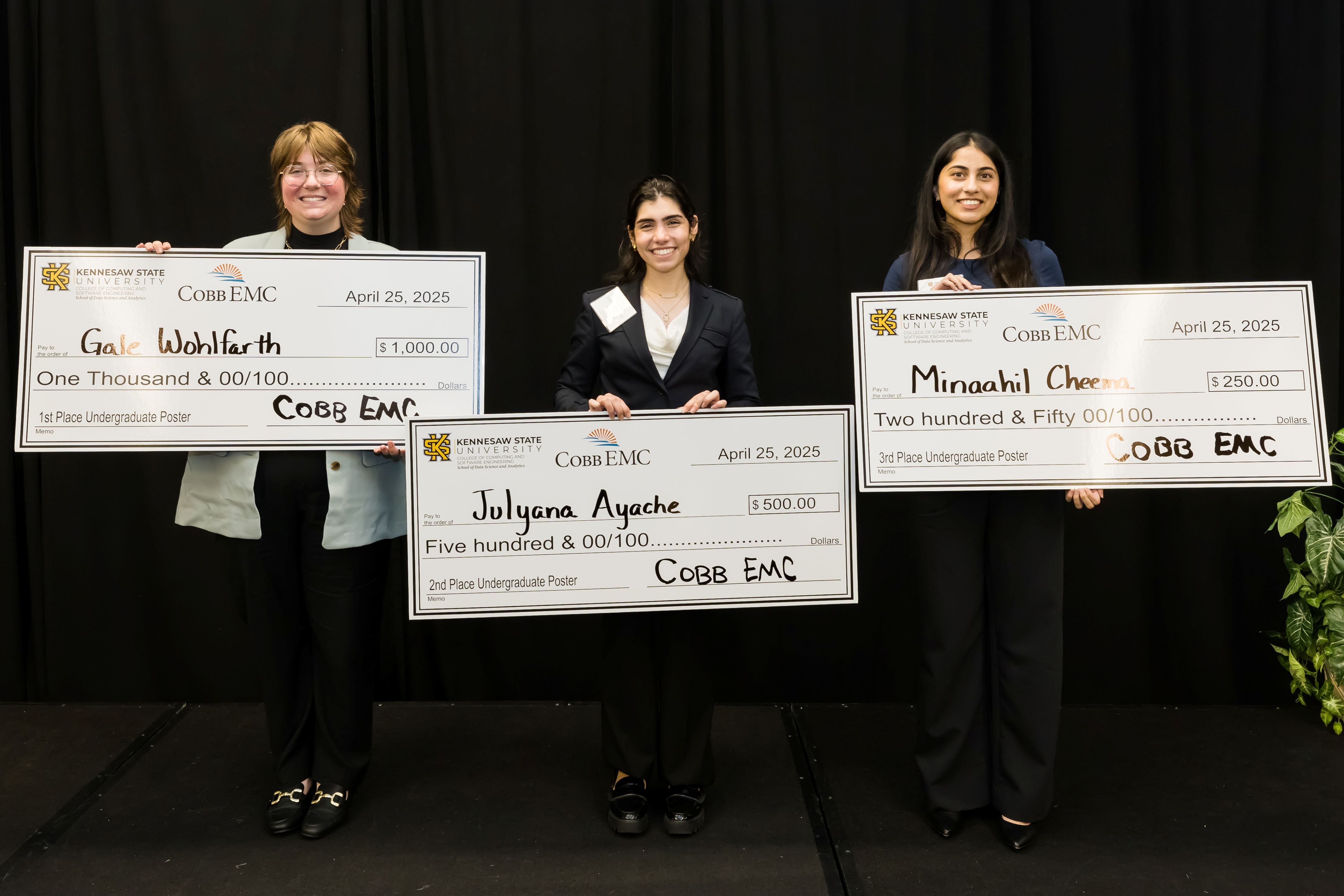 Undergraduate Winners