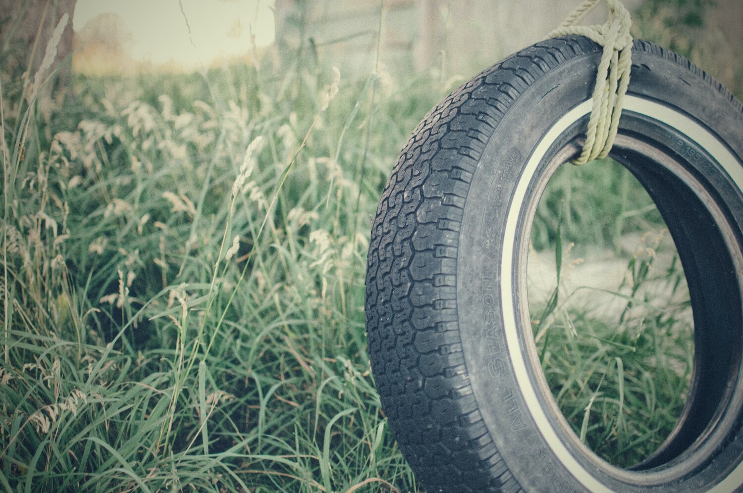 Tire swing in yard