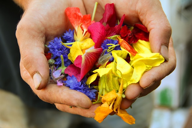 hand with flowers