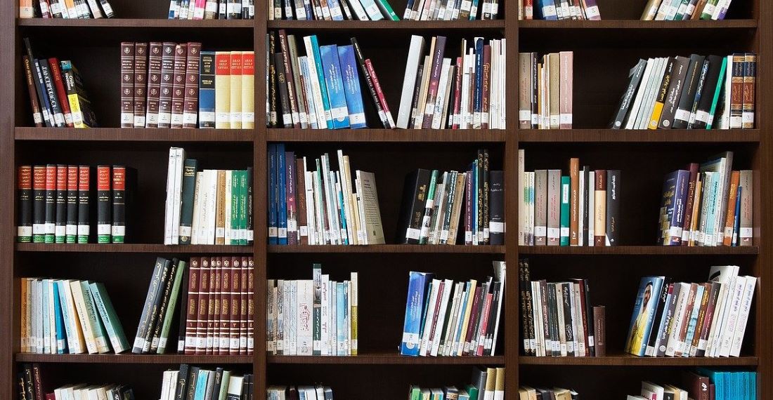 Books on a brown wooden bookshelf