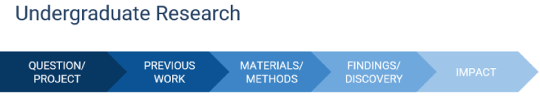 Undergraduate Research Reflection info Graphic