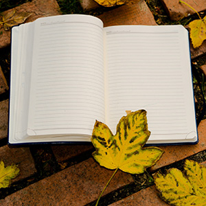 A book resting on a brick walkway during the New Faculty Orientation Resource Fair.