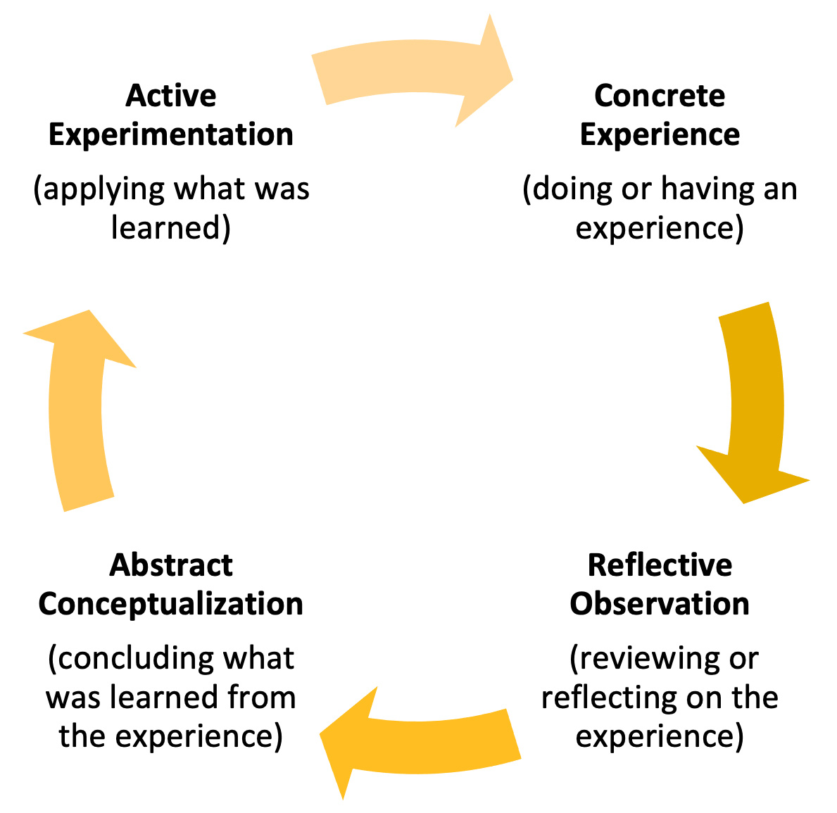 Info Graphic of Kolb’s Experiential Learning Cycle, illustrating four stages in a continuous loop connected by gold arrows.