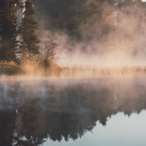 Misty morning over a tranquil lake, with soft fog enveloping the water and surrounding trees.
