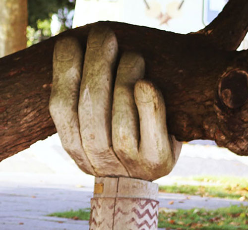 A hand rests gently on the trunk of a tree, symbolizing a connection of a motivated learners.