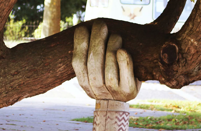 A hand rests gently on the trunk of a tree, symbolizing a connection between nature and humanity.