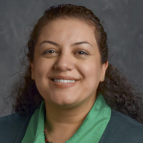 Sara Nasrollahian, Ph.D. Assistant Director Office of Teaching, Learning and Technology  University of Iowa