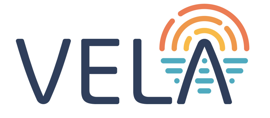 Vela Logo
