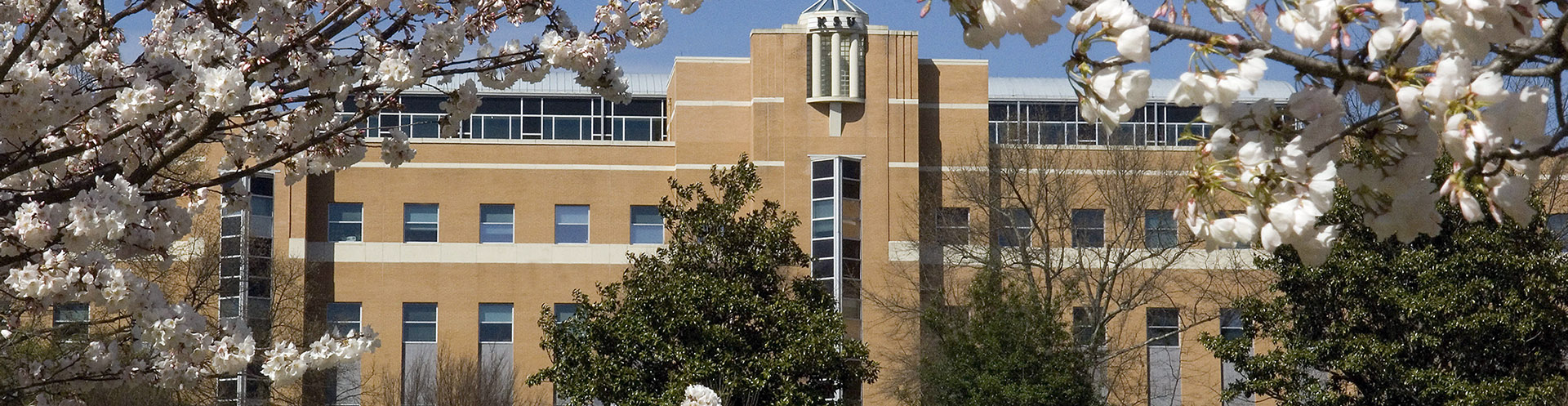 Coles College of Business Burruss Building