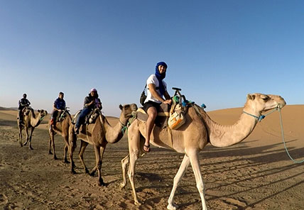 ksu students riding camels aborad
