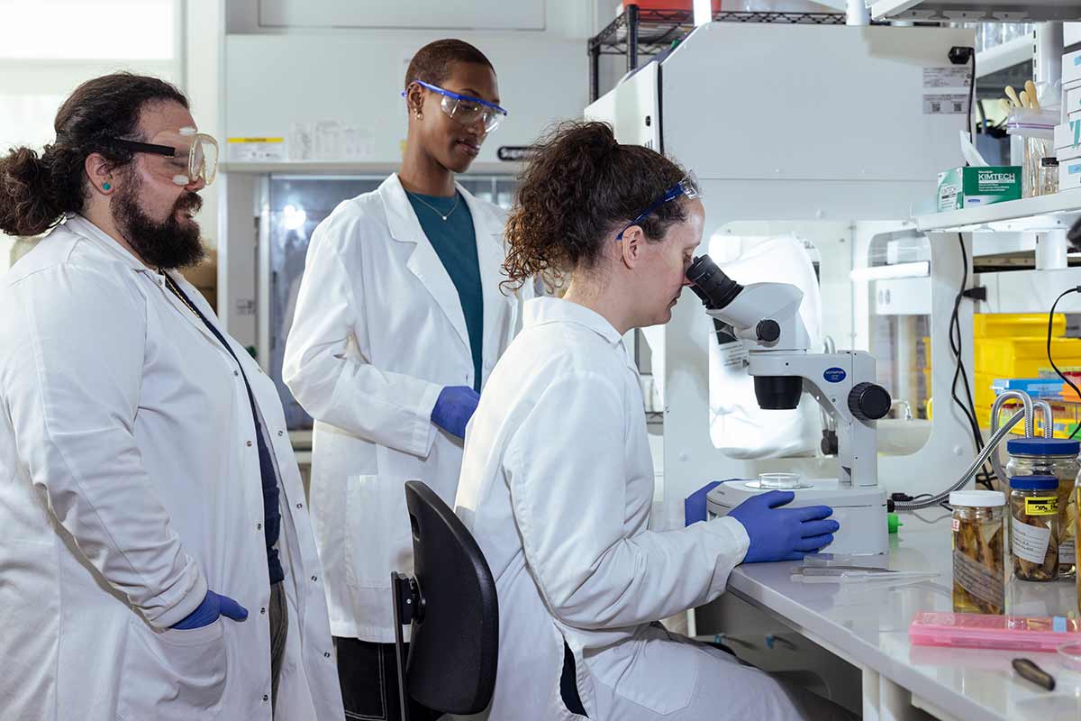 Dr. Preisser and students working on research in a lab. / Dr. Preisser and students working on research in a lab.